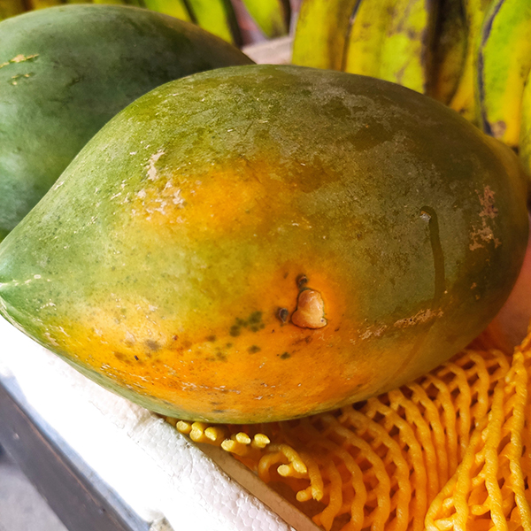 Đu đủ ruột đỏ